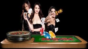 DB live casino 1 1